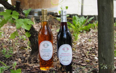 Comment conserver le Pineau des Charentes ? Nos conseils avant et après ouverture