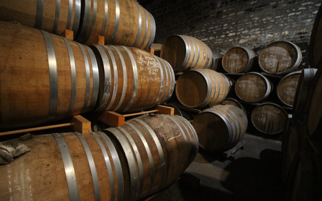 Vieillissement du Cognac : tout savoir sur VS, VSOP et XO
