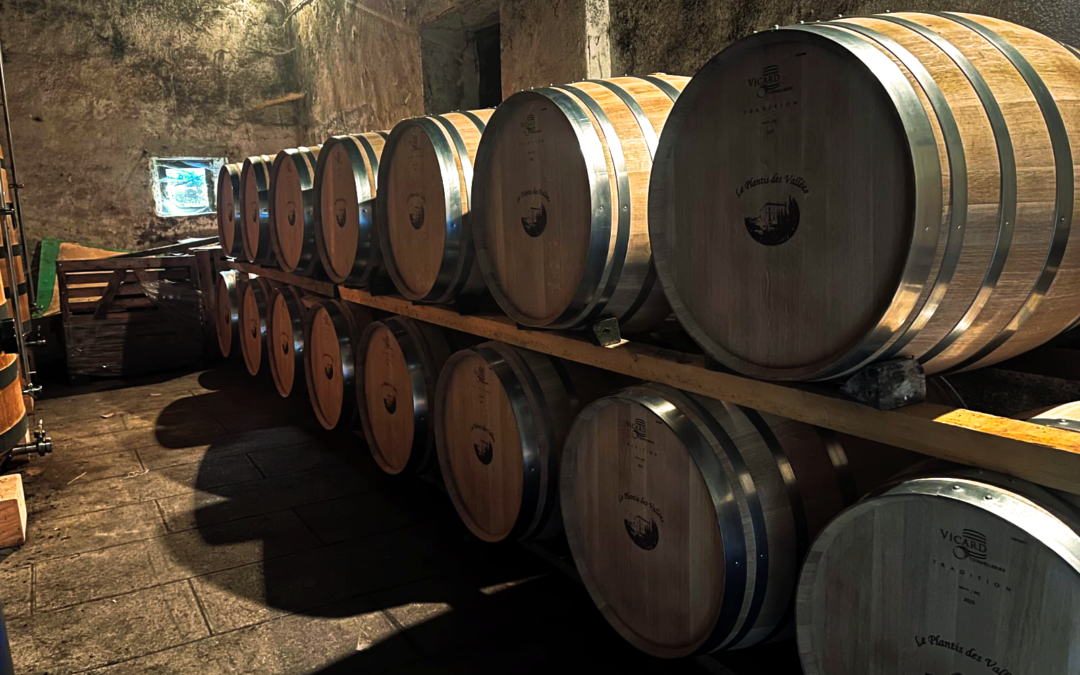 Pourquoi les fûts de chêne sont essentiels dans l’élaboration du Cognac ?