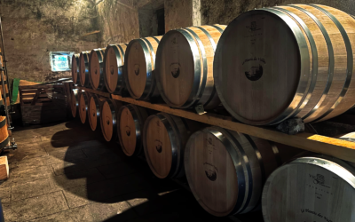 Pourquoi les fûts de chêne sont essentiels dans l’élaboration du Cognac ?