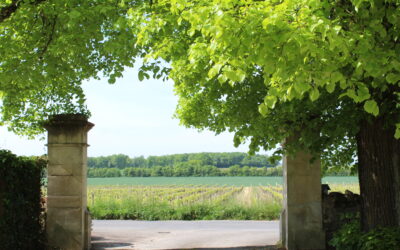 Parc touristique autour de Cognac : balade dans les vignes et activités nature