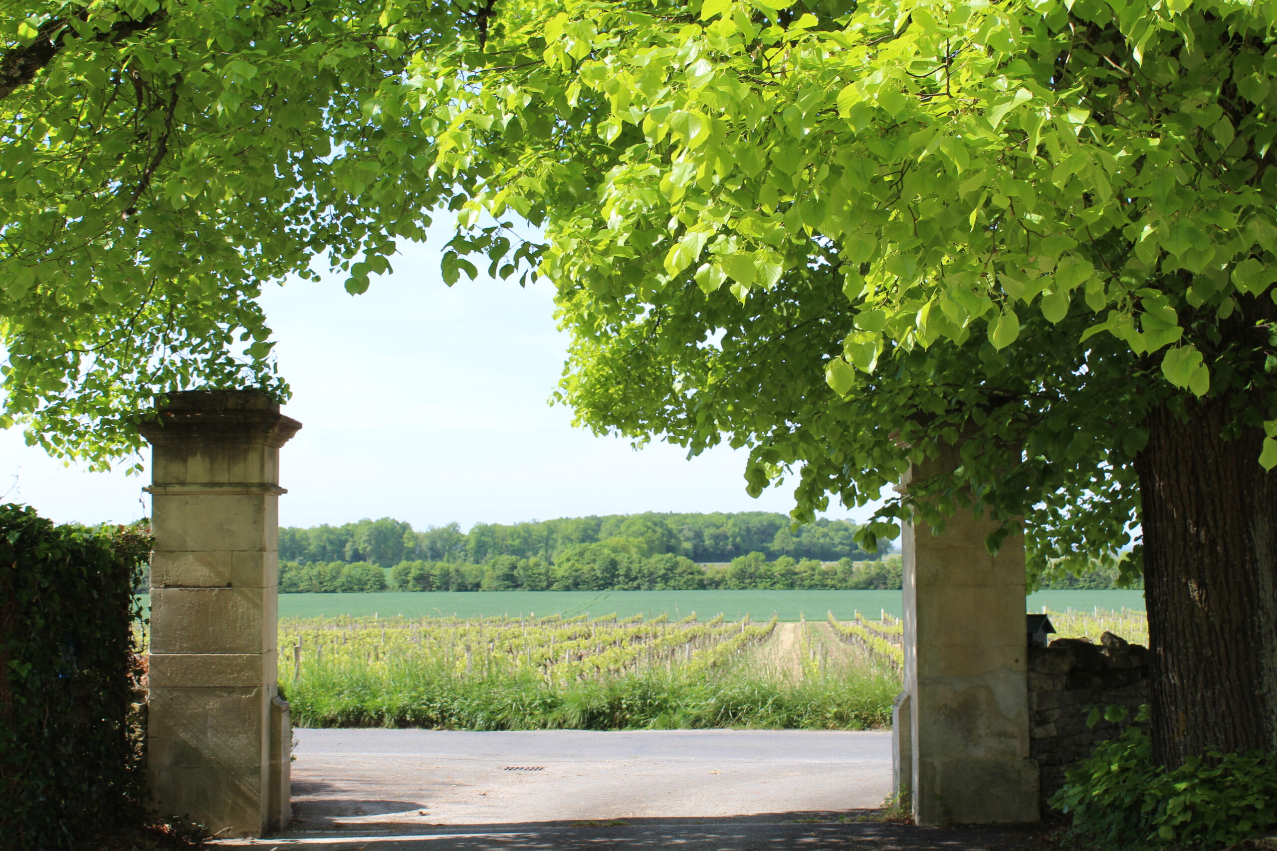 parc touristique