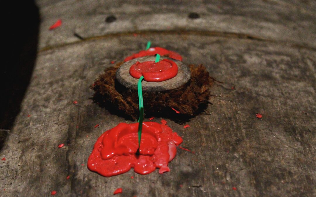 Qu&rsquo;est-ce qu&rsquo;un cognac millésimé ? Tout comprendre sur ces cognacs rares