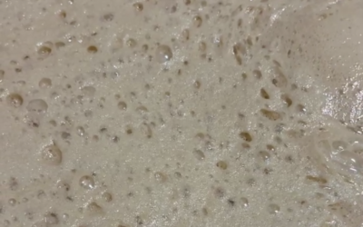 Comment transforme-t-on le jus de raisin en vin ? Le rôle de la fermentation