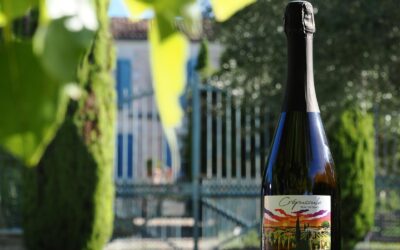 Nouveauté au Domaine De Vitis : découvrez notre Blanc de Blancs Crépuscule