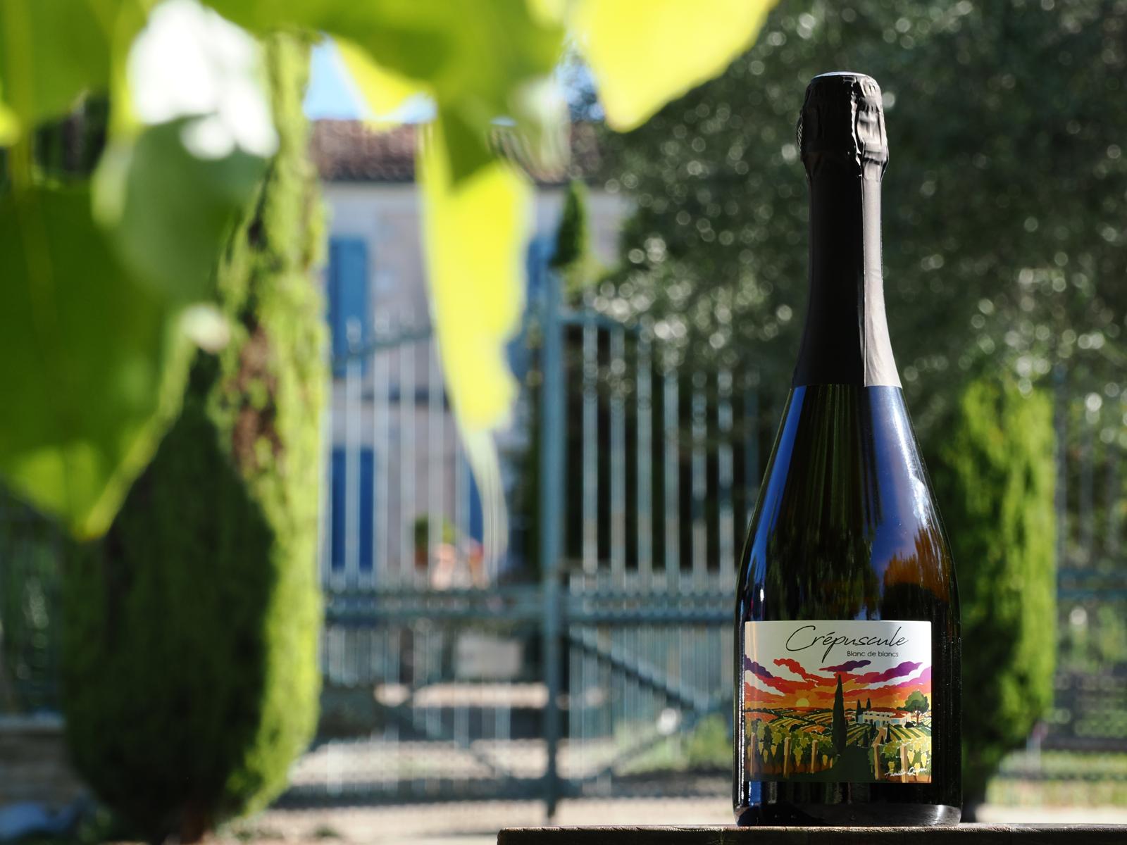 blanc de blancs de vitis blanc de blancs de vitis