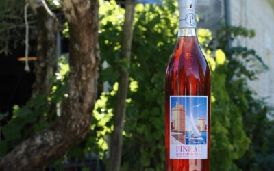 Nouveauté au Domaine De Vitis : notre Pineau rosé est arrivé !