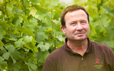 Vigneron indépendant : qu’est-ce que cela signifie ? L’exemple du Domaine De Vitis